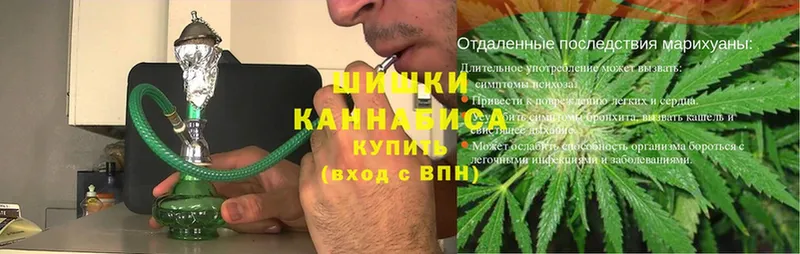 Бошки марихуана Amnesia  где купить наркотик  Карабаш 